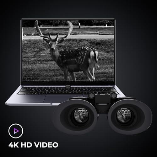 Laptop with deer on screen and 3D glasses, 4K HD video text