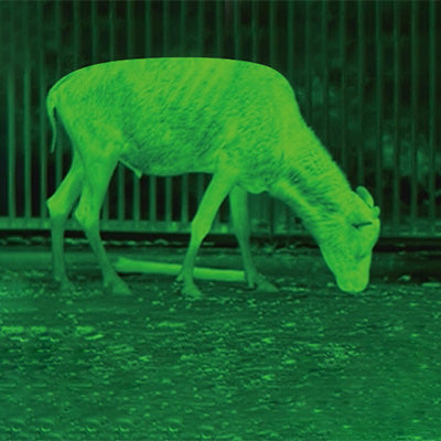AI15 green hot color mode