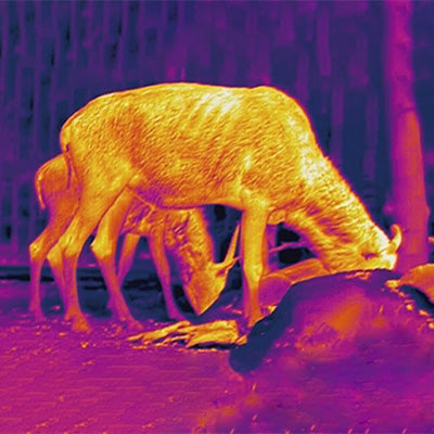 AI15 iron hot color mode