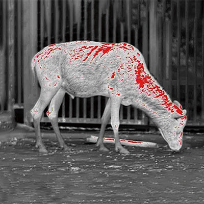 AI15 red hot color mode