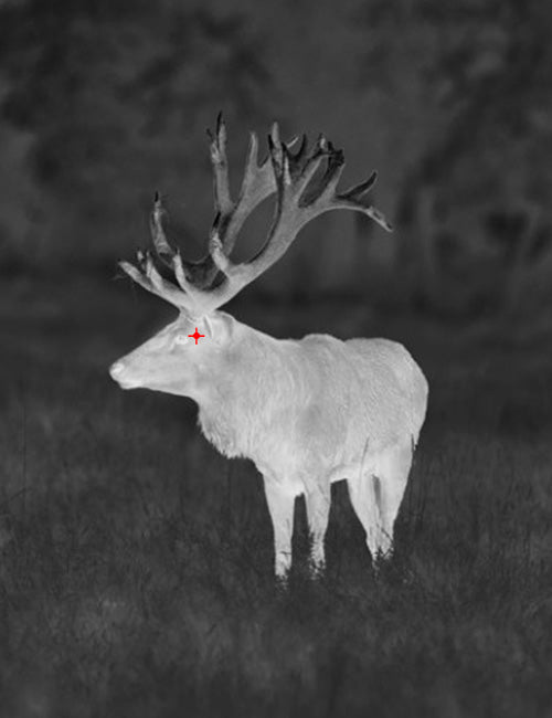 AI15 hot spot marking feature