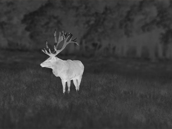 AI15 normal mode thermal view