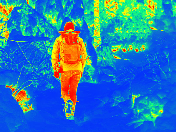 AI15 rainforest mode thermal view