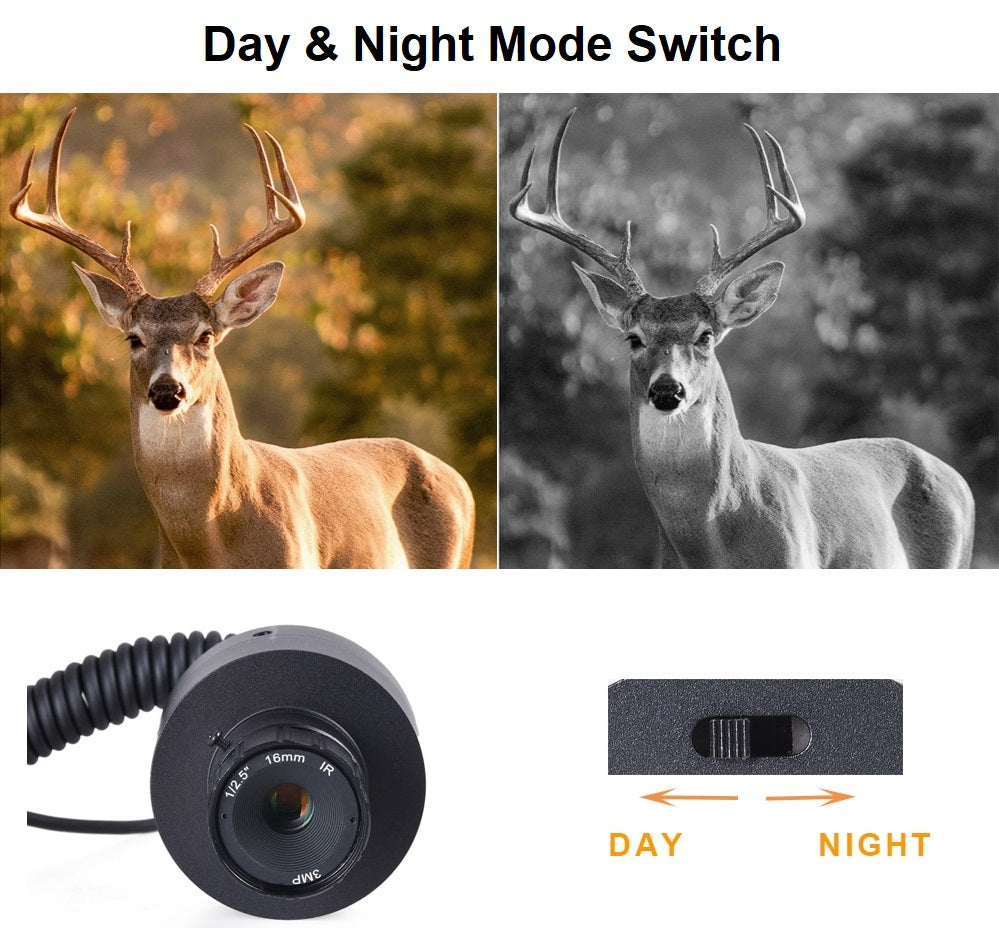 Day and Night Mode